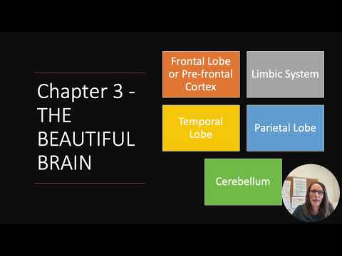 Undivided Attention Workbook Chapter 3