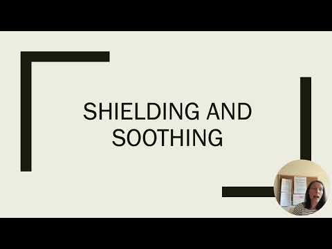 Shaming Language and Shielding and Soothing